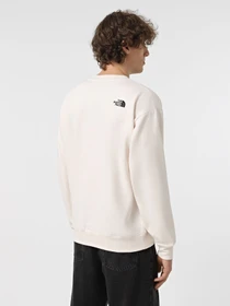 Худи и свитшоты The North Face Essential модель NF0A89EPQLI1 Фото