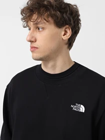 Худі та світшоти The North Face Essential Relaxed модель NF0A89ETJK31 Фото