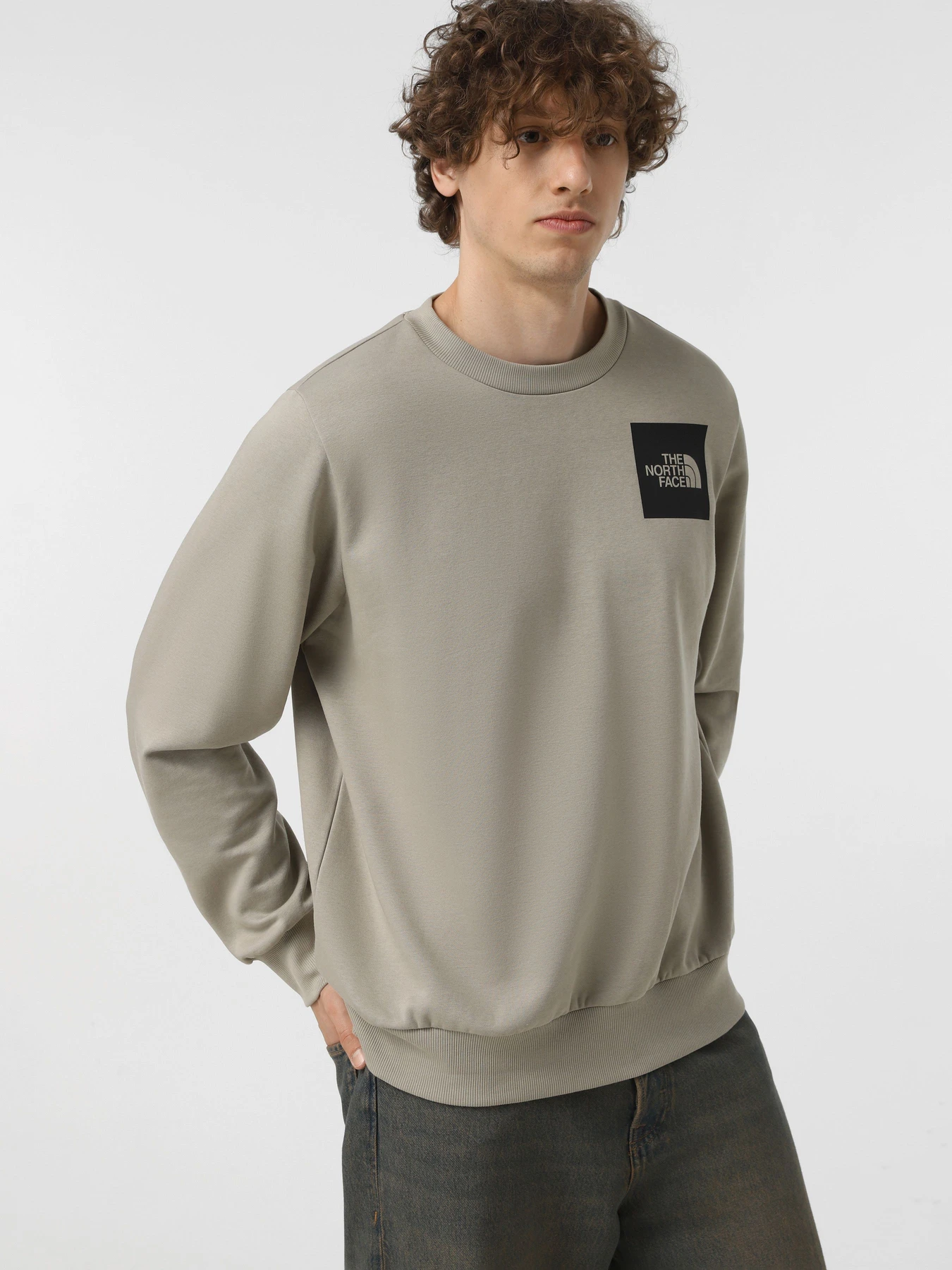 Худі та світшоти The North Face Fine модель NF0A89EV1I41 Худі та світшоти The North Face Fine модель NF0A89EV1I41 Фото