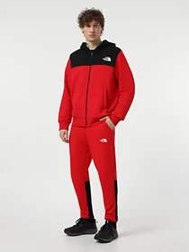 Худи и свитшоты The North Face Icon модель NF0A89F6KZ31 Фото