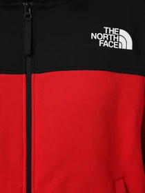 Худи и свитшоты The North Face Icon модель NF0A89F6KZ31 Фото