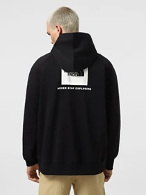 Худі та світшоти The North Face Raglan Box Nse модель NF0A89F9KY41 Фото
