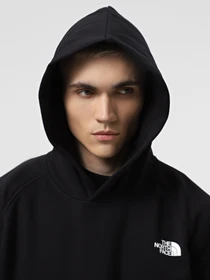 Худі та світшоти The North Face Raglan Box Nse модель NF0A89F9KY41 Фото