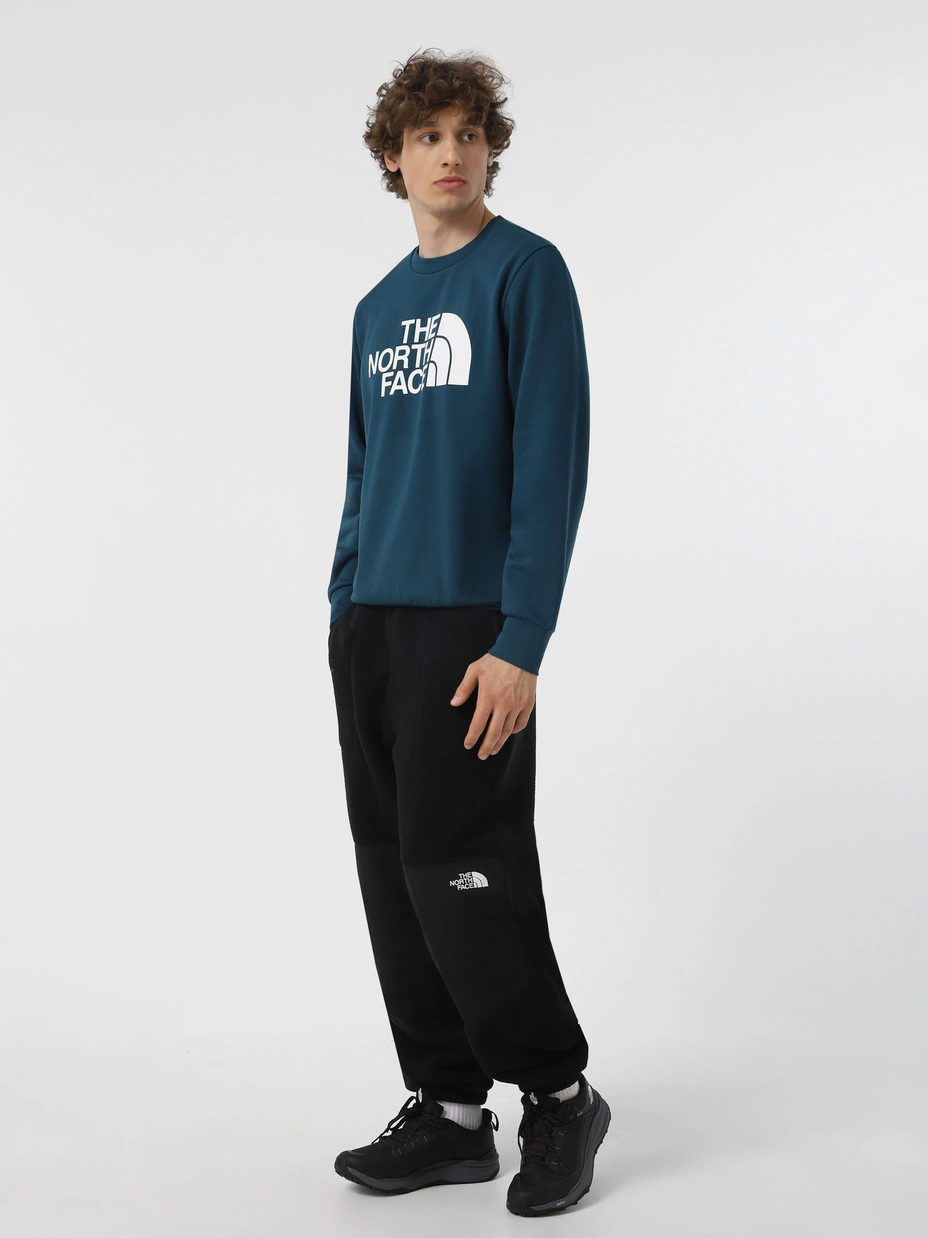 Худі та світшоти The North Face Easy модель NF0A89FG1NO1 Худі та світшоти The North Face Easy модель NF0A89FG1NO1 Фото