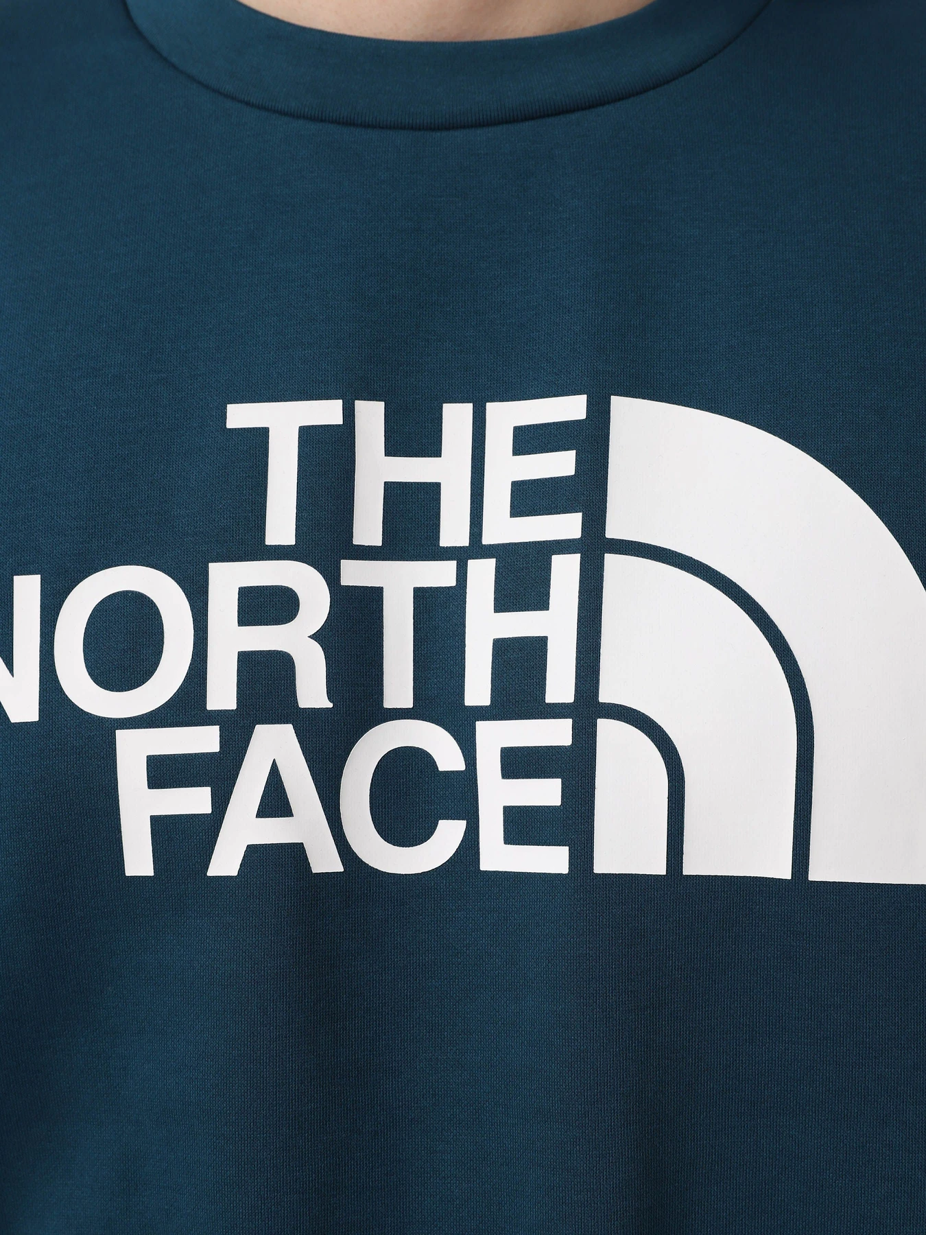 Худі та світшоти The North Face Easy модель NF0A89FG1NO1 Худі та світшоти The North Face Easy модель NF0A89FG1NO1 Фото