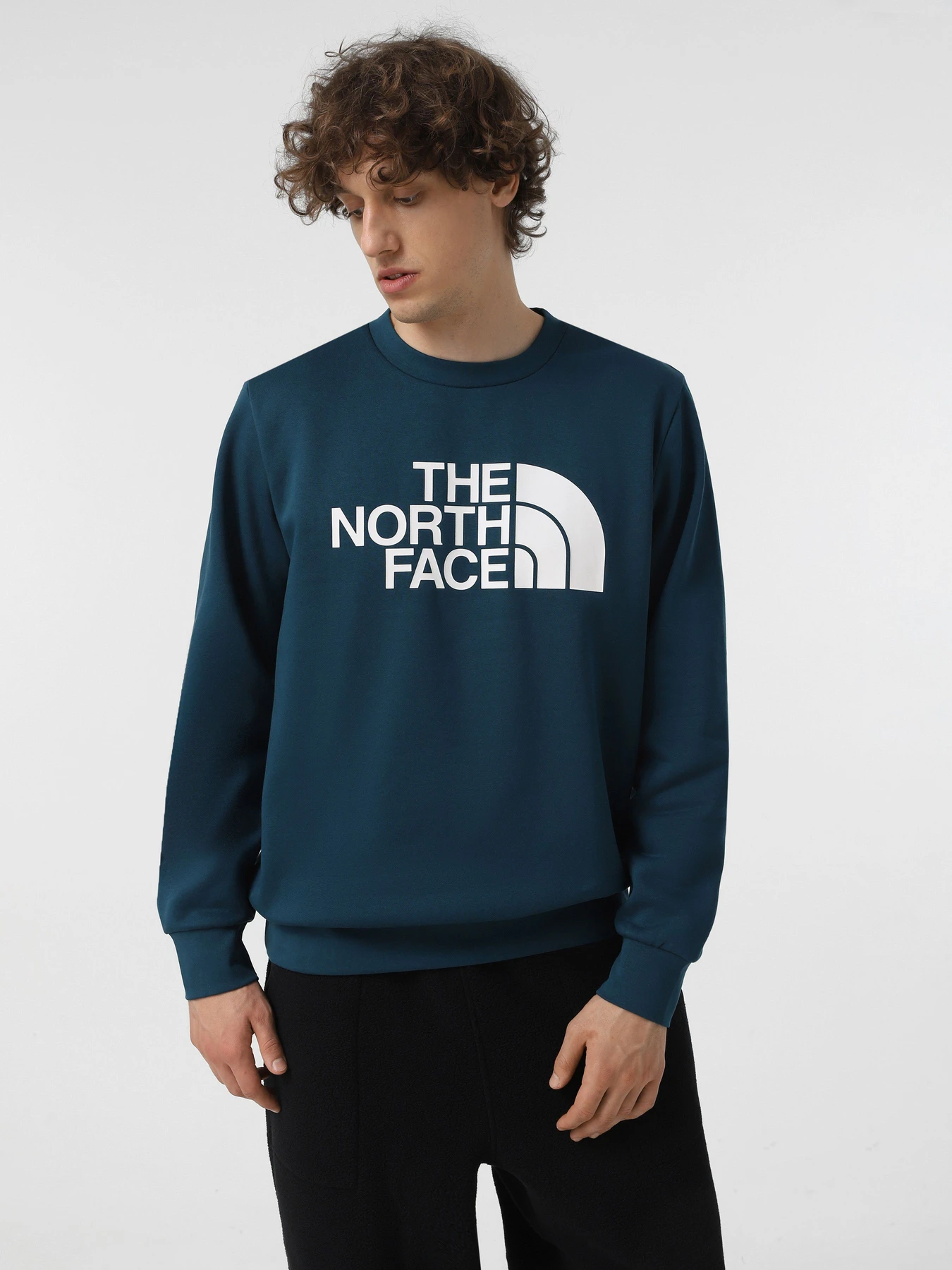 Худі та світшоти The North Face Easy модель NF0A89FG1NO1 Худі та світшоти The North Face Easy модель NF0A89FG1NO1 Фото