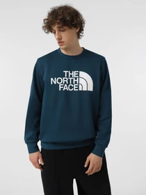 Худі та світшоти The North Face Easy модель NF0A89FG1NO1 Фото