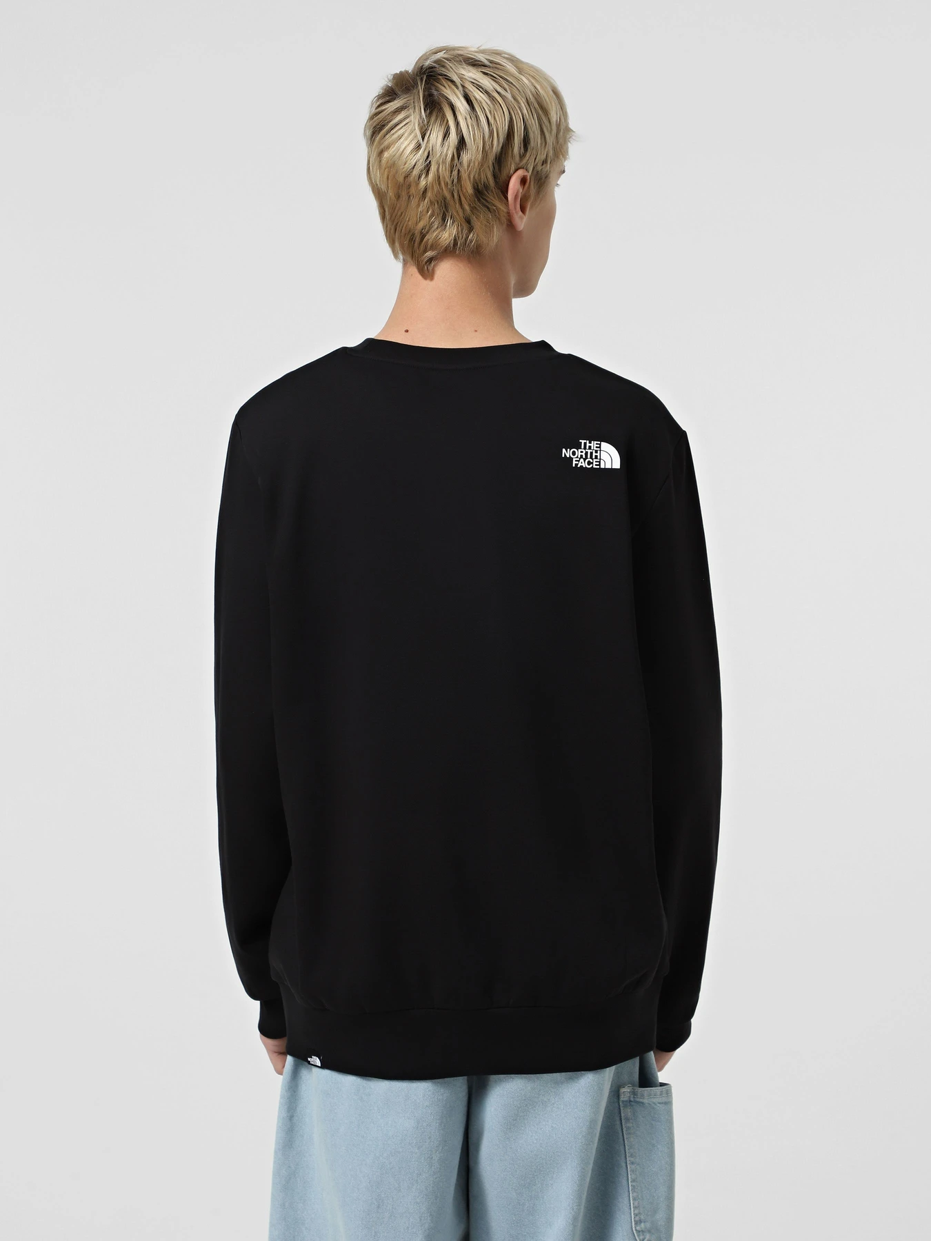 Худі та світшоти The North Face Easy модель NF0A89FGJK31 Фото
