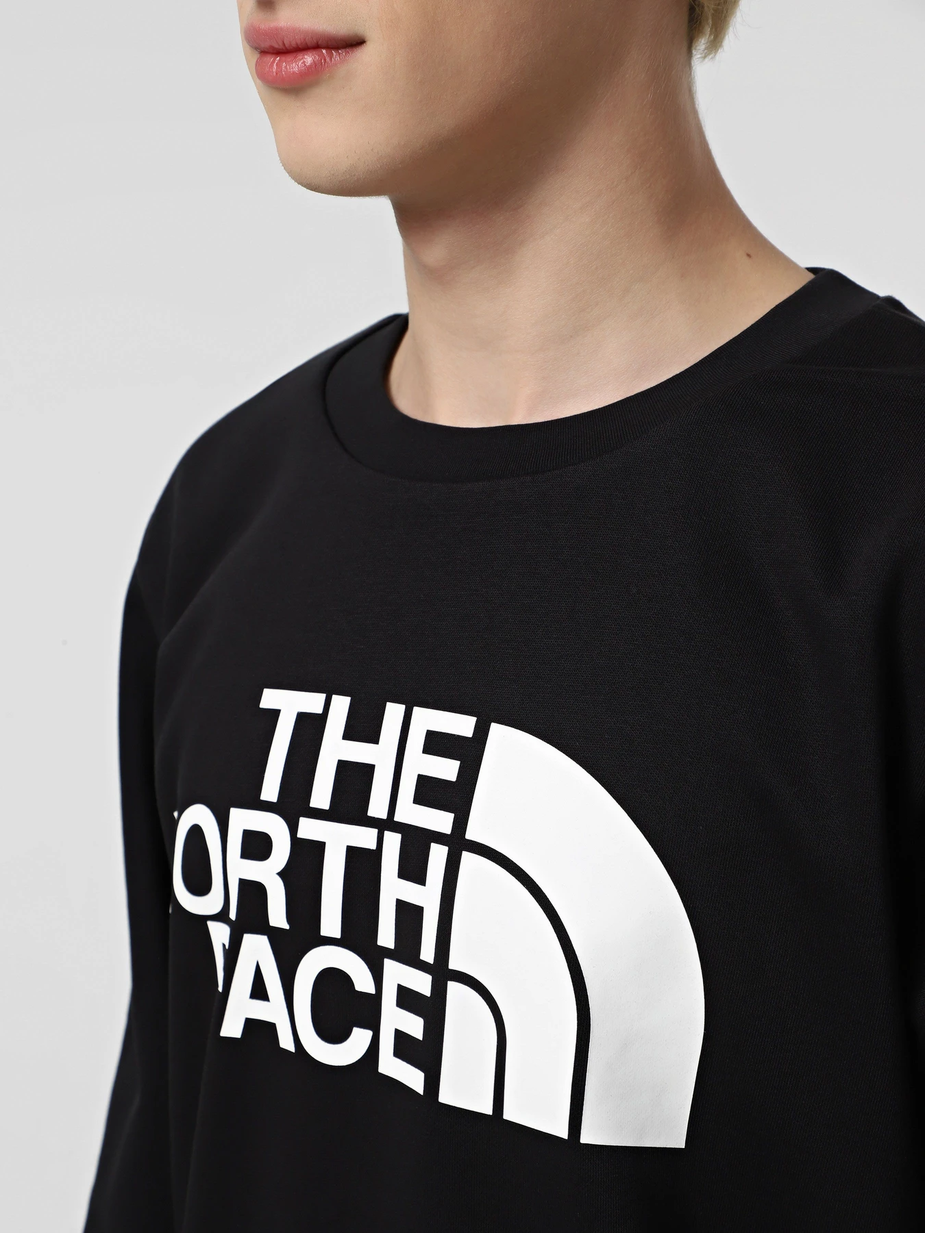 Худі та світшоти The North Face Easy модель NF0A89FGJK31 Фото