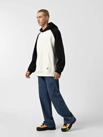 Худи и свитшоты The North Face Heritage модель NF0A89FVROU1 Фото