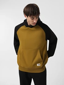 Худі та світшоти The North Face Heritage модель NF0A89FV5HO1 Фото