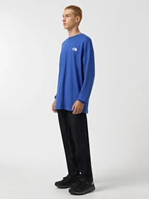 Худи и свитшоты The North Face Axys модель NF0A89FZCZ61 Фото
