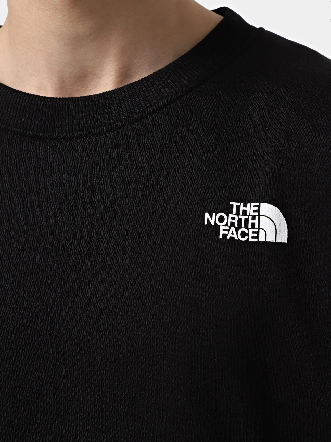 Худи и свитшоты The North Face Axys модель NF0A89G0JK31 Фото