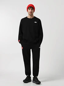 Худи и свитшоты The North Face Axys модель NF0A89G0JK31 Фото
