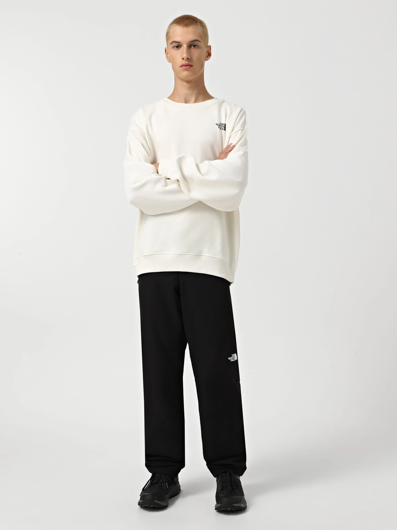 Худи и свитшоты The North Face Axys модель NF0A89G0QLI1 Худи и свитшоты The North Face Axys модель NF0A89G0QLI1 Фото