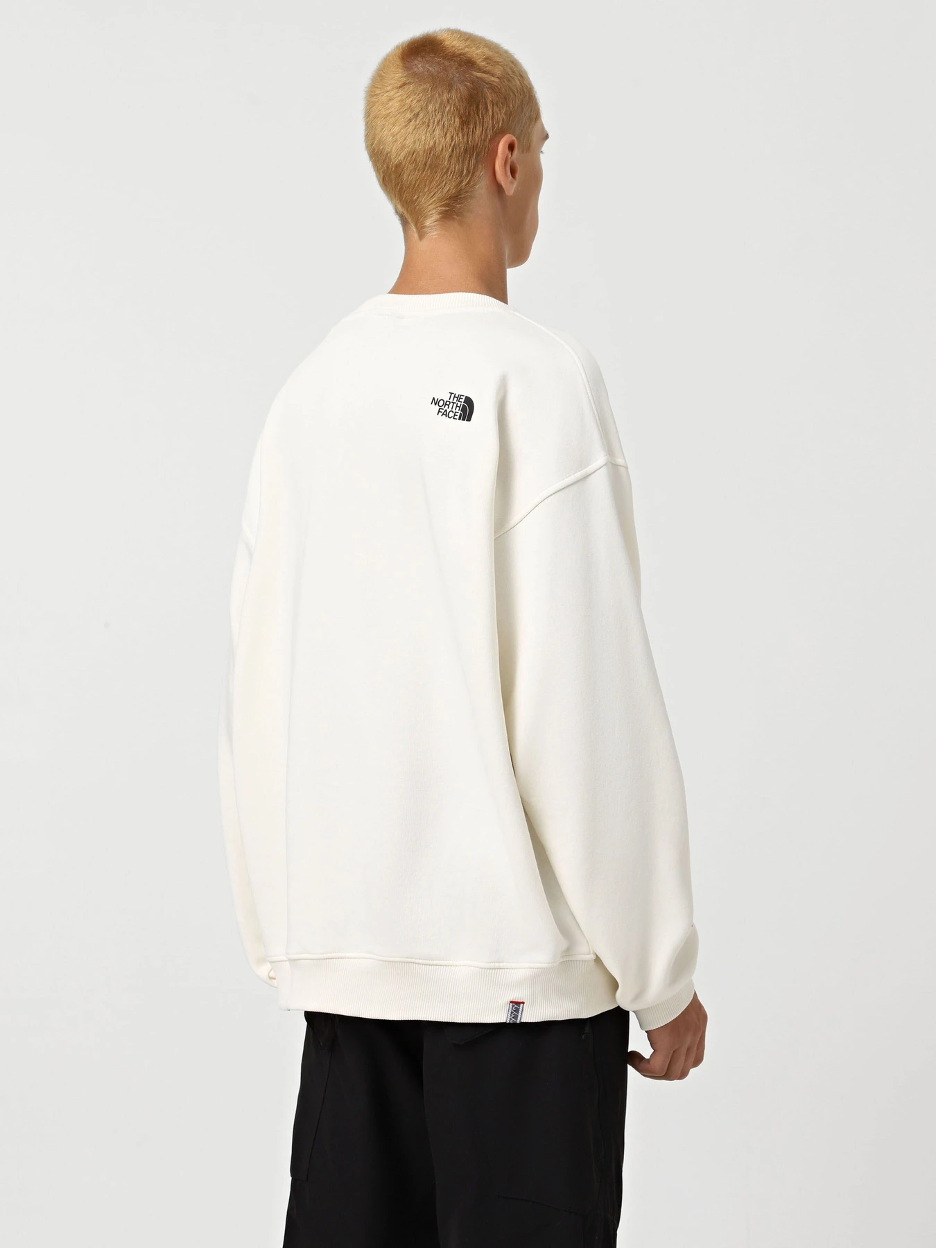 Худи и свитшоты The North Face Axys модель NF0A89G0QLI1 Худи и свитшоты The North Face Axys модель NF0A89G0QLI1 Фото