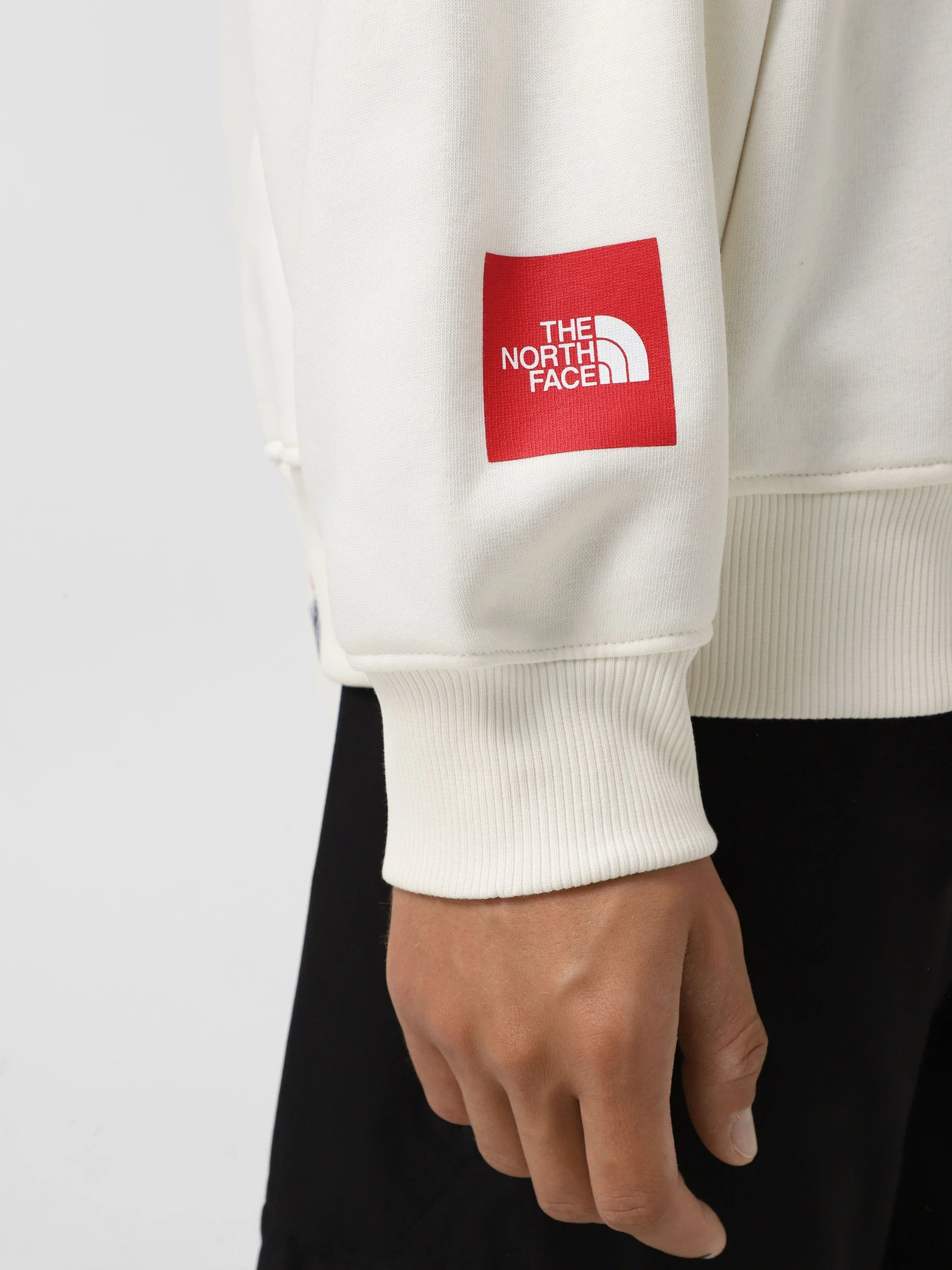 Худи и свитшоты The North Face Axys модель NF0A89G0QLI1 Худи и свитшоты The North Face Axys модель NF0A89G0QLI1 Фото