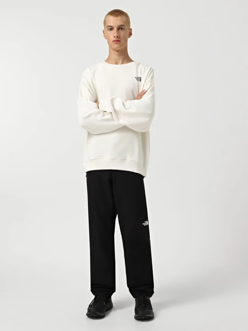 Чоловічий Світшот The North Face Axys фото 2