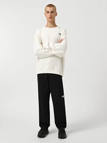 Худи и свитшоты The North Face Axys модель NF0A89G0QLI1 Фото