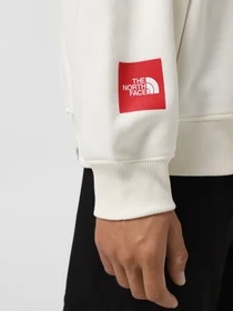 Худи и свитшоты The North Face Axys модель NF0A89G0QLI1 Фото