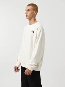 Худі та світшоти The North Face Axys модель NF0A89G0QLI1 Фото