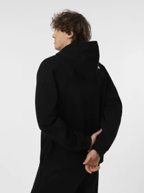 Худі та світшоти The North Face Axys модель NF0A89G1JK31 Фото