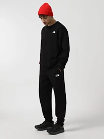 Брюки The North Face Axys модель NF0A89G2JK31 Фото