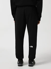 Брюки The North Face Axys модель NF0A89G2JK31 Фото