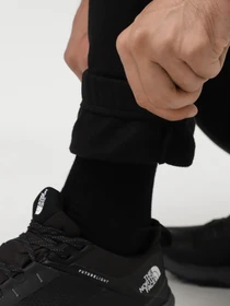 Брюки The North Face Axys модель NF0A89G2JK31 Фото