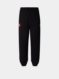 Брюки The North Face Axys модель NF0A89G2JK31 Фото