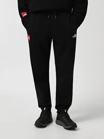 Брюки The North Face Axys модель NF0A89G2JK31 Фото