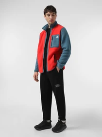 Штани The North Face Drew Peak модель NF0A8A6BJK31 Фото