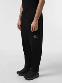 Брюки The North Face Drew Peak модель NF0A8A6BJK31 Фото