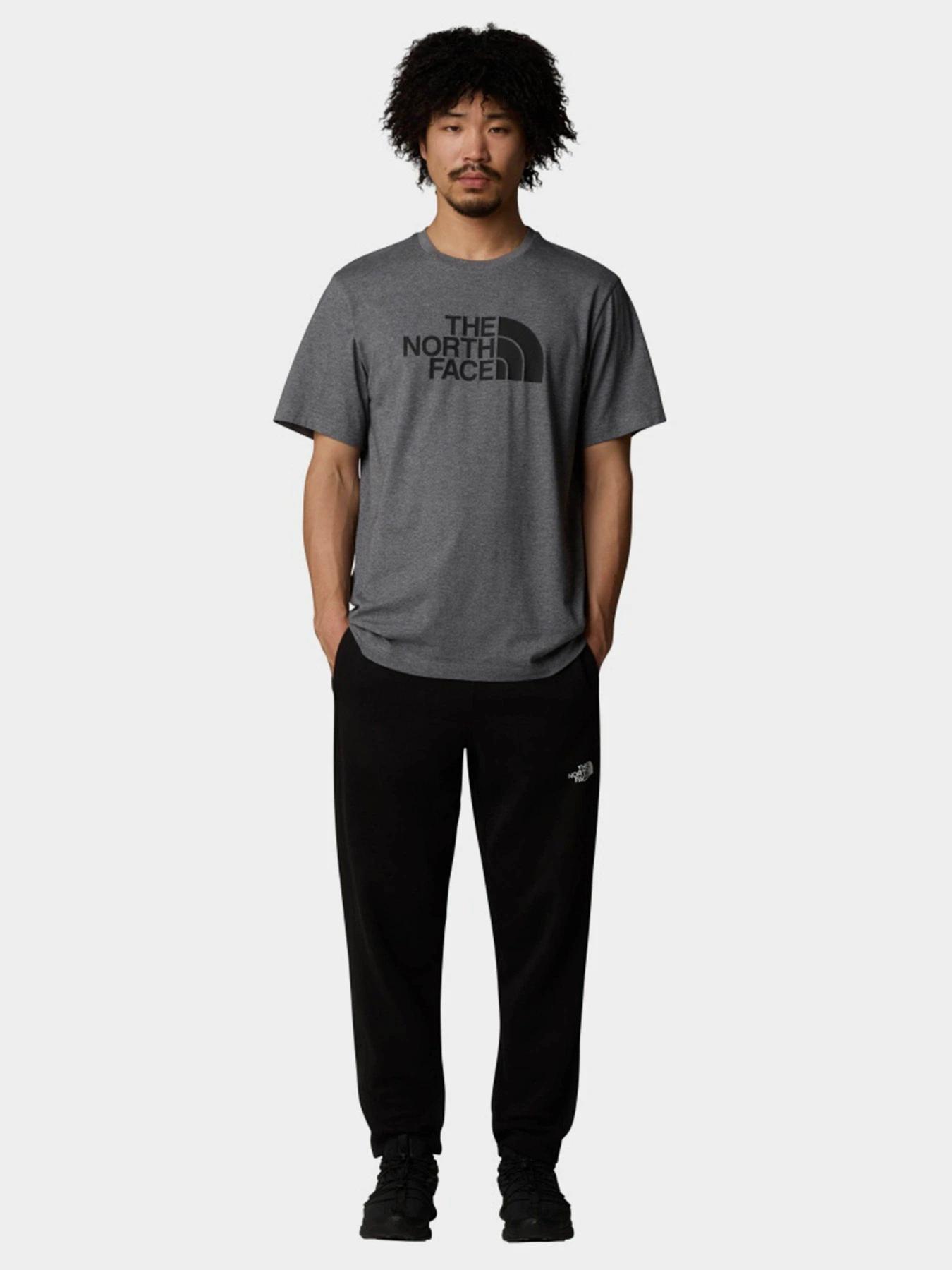 Футболки и поло The North Face Easy модель NF0A8A6CDYY1 Футболки и поло The North Face Easy модель NF0A8A6CDYY1 Фото