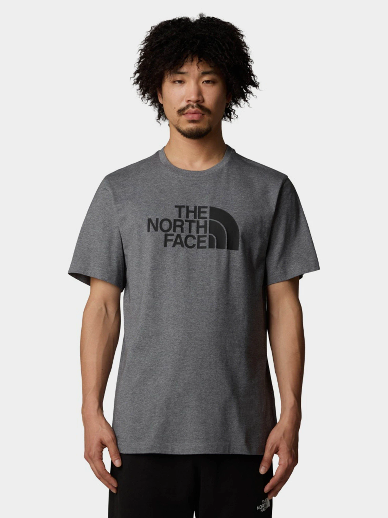 Футболки и поло The North Face Easy модель NF0A8A6CDYY1 Футболки и поло The North Face Easy модель NF0A8A6CDYY1 Фото