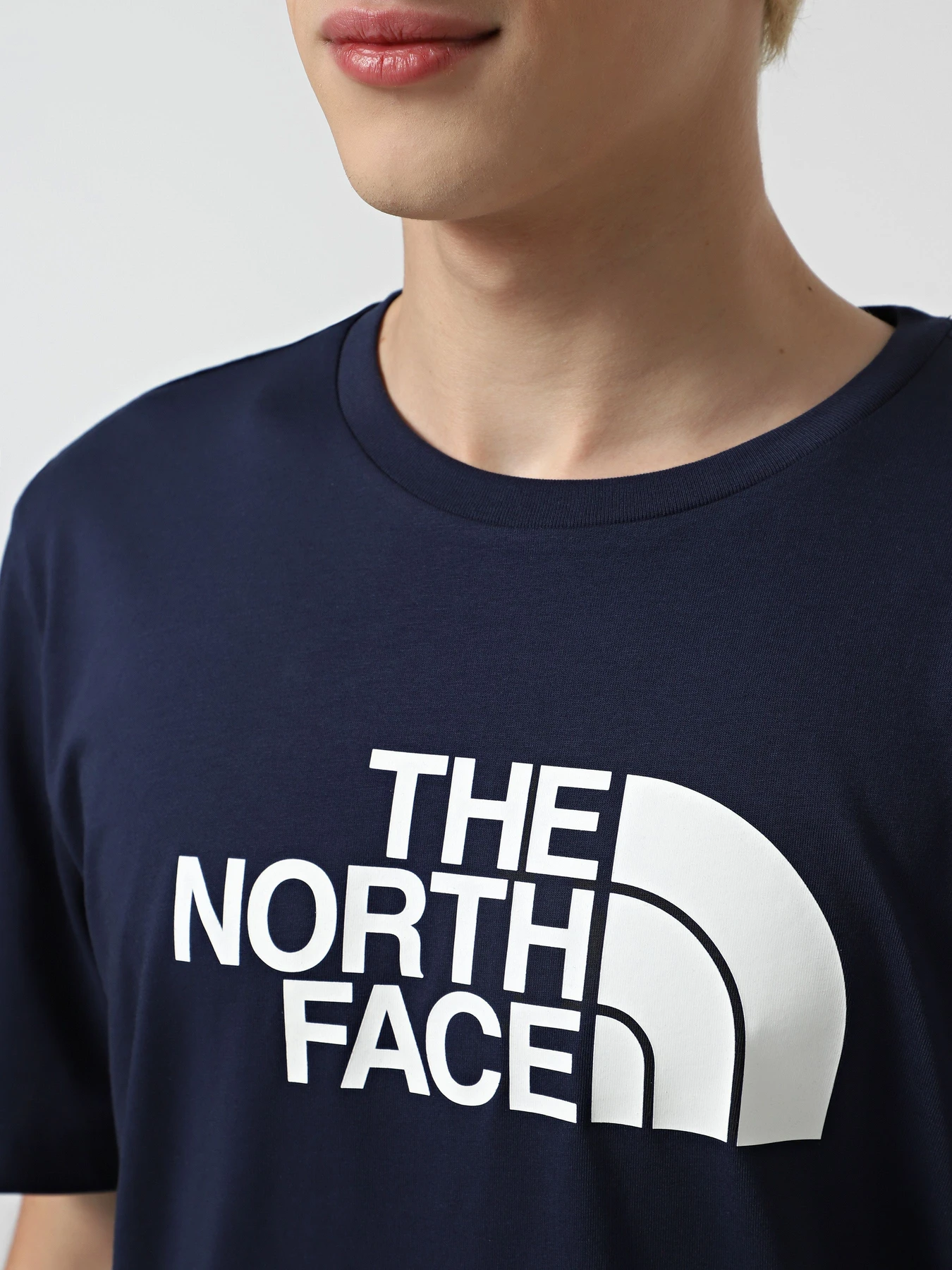 Футболки и поло The North Face Easy модель NF0A8A6C8K21 Футболки и поло The North Face Easy модель NF0A8A6C8K21 Фото