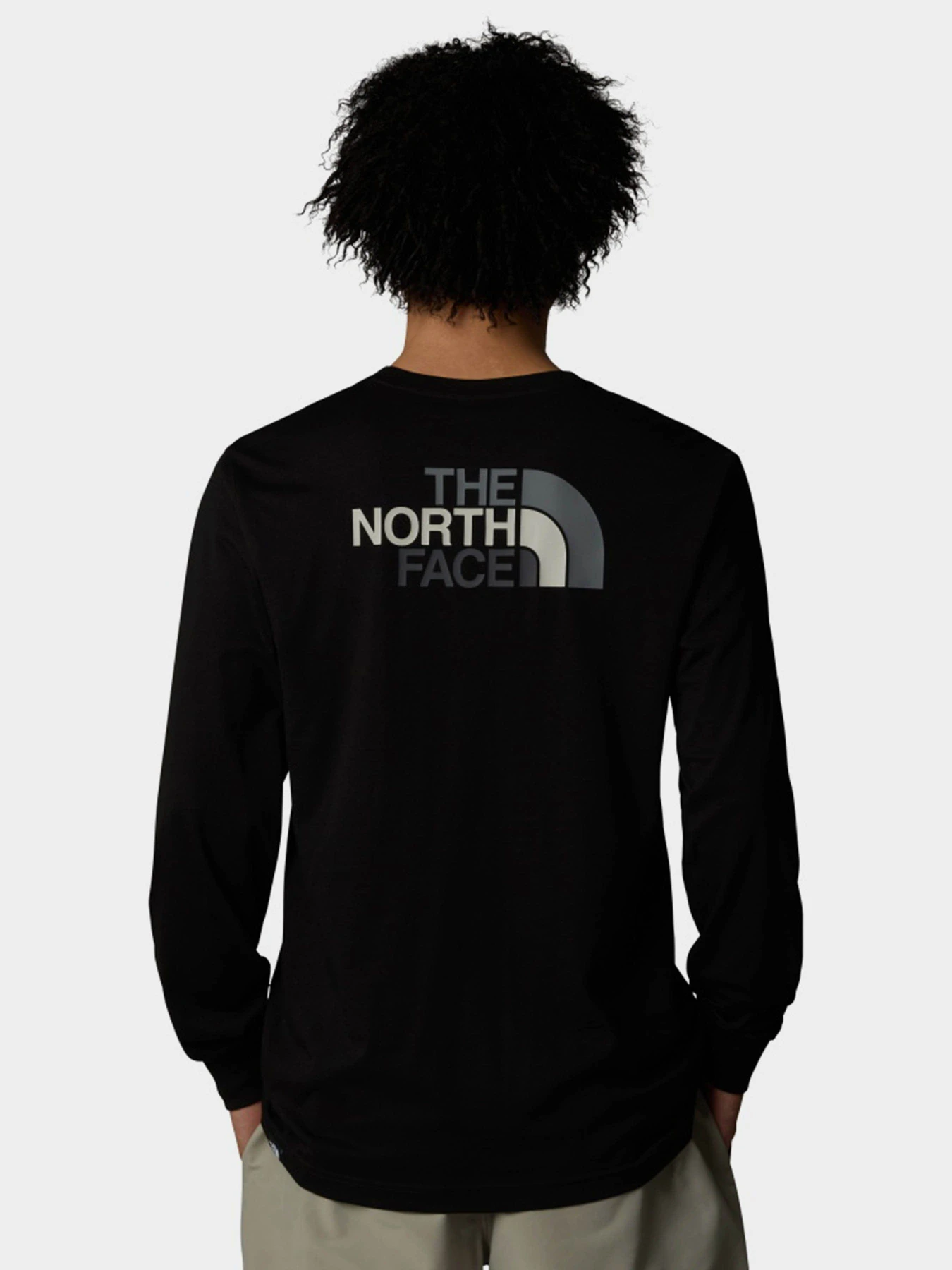 Худи и свитшоты The North Face Easy модель NF0A8A6FJK31 Фото
