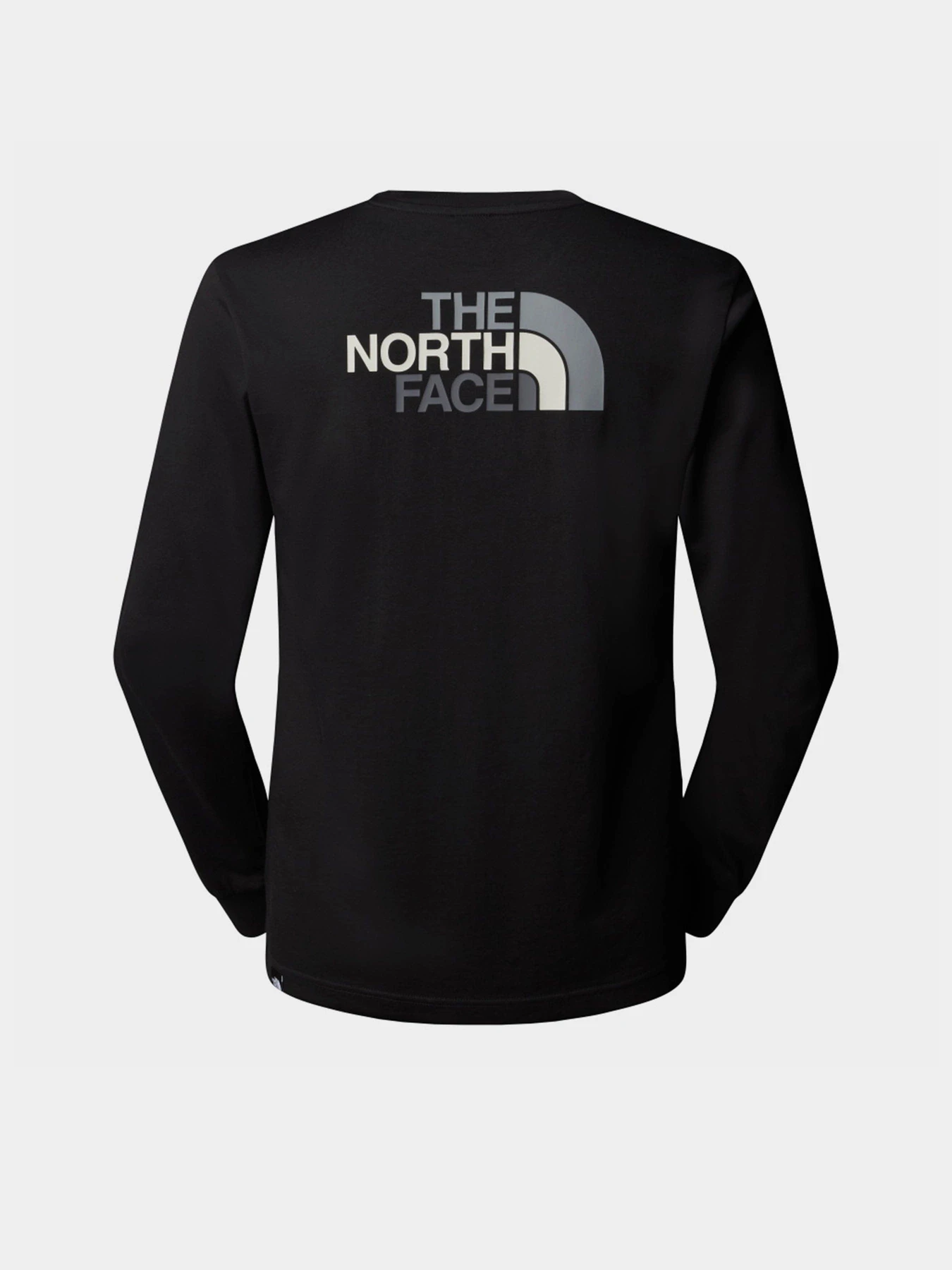 Худи и свитшоты The North Face Easy модель NF0A8A6FJK31 Фото