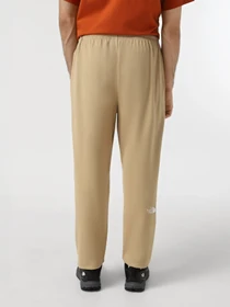 Брюки The North Face Essential модель NF0A8A6JLK51 Фото