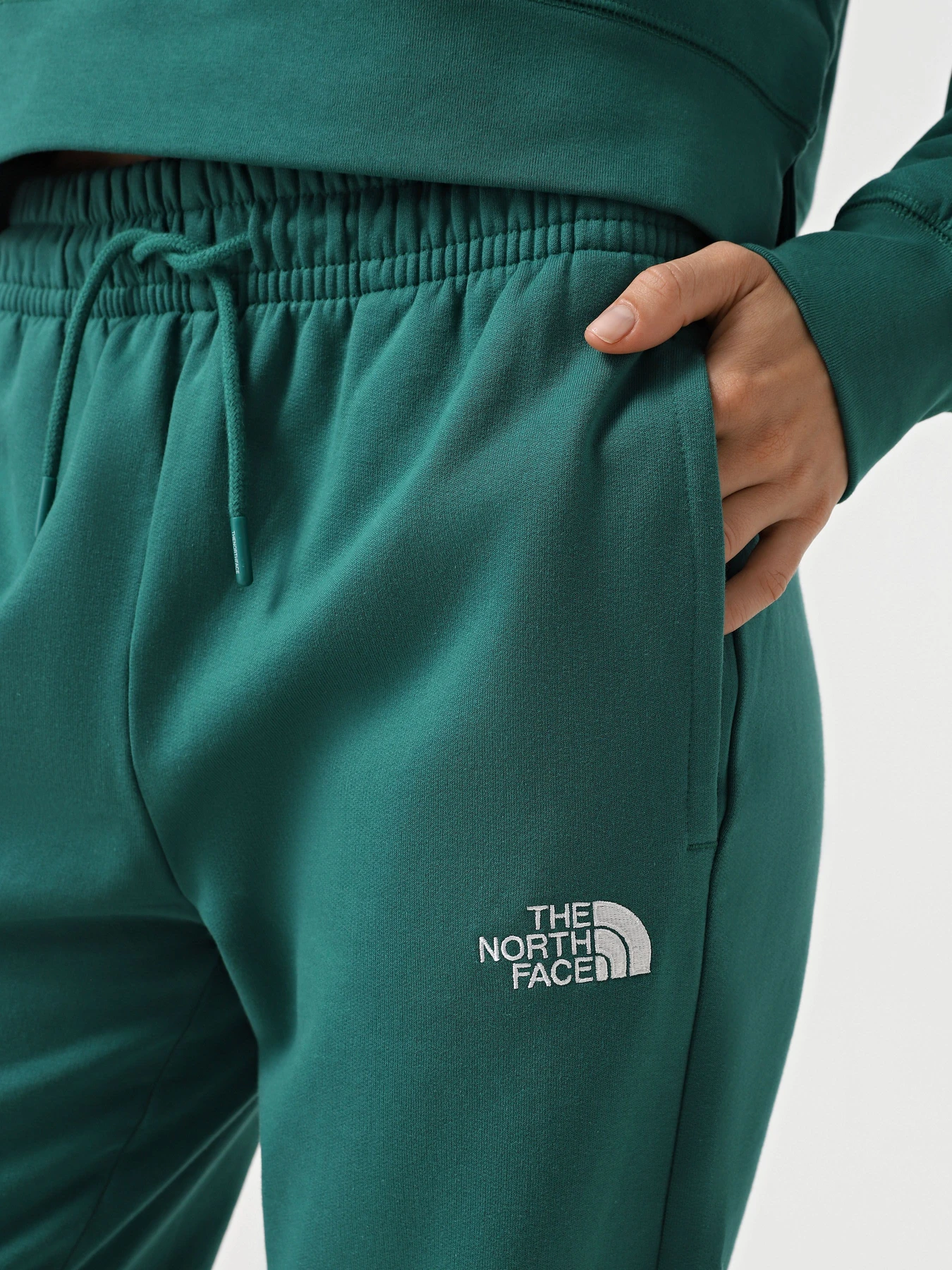 Брюки The North Face Essential модель NF0A8A6KNL11 Фото