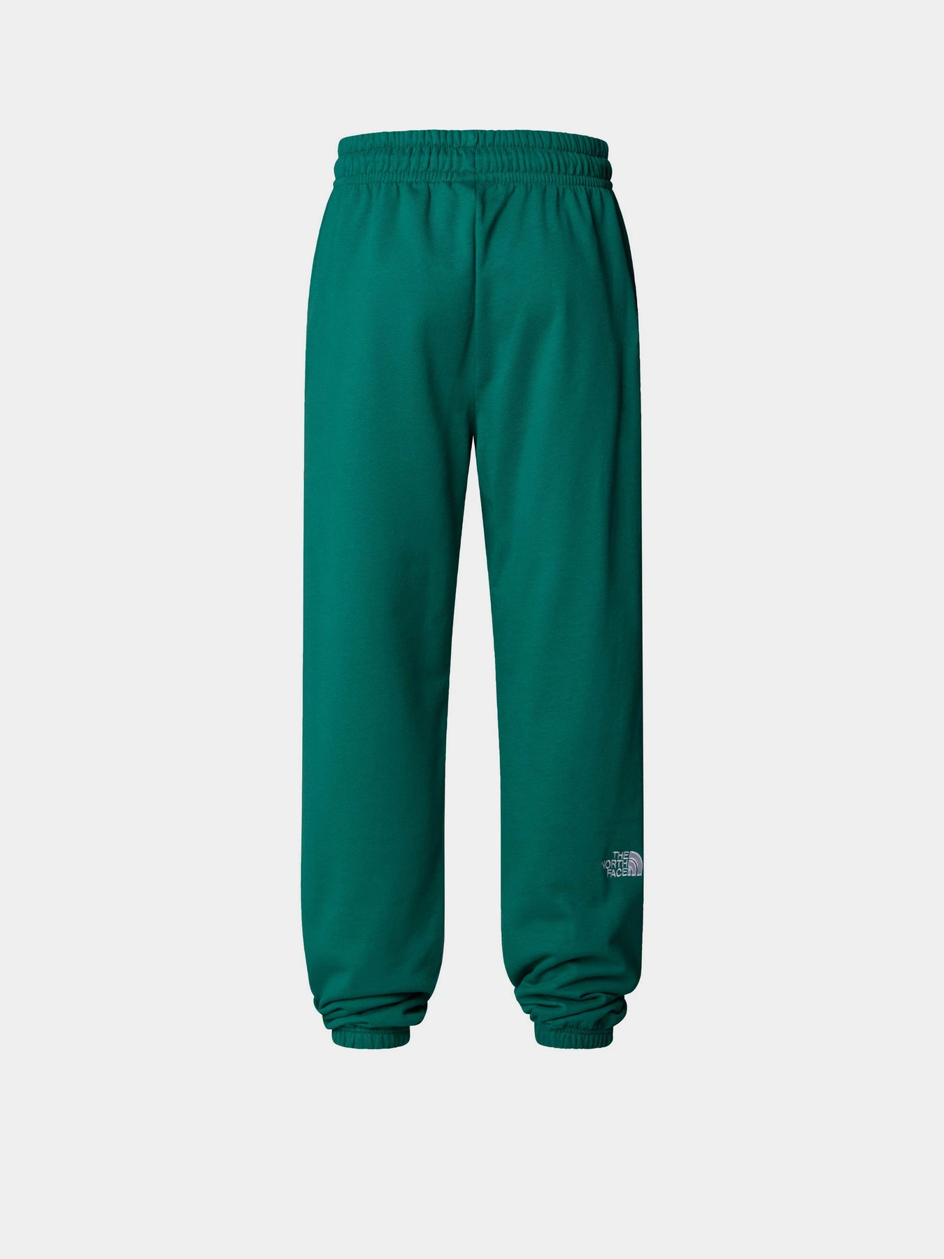 Брюки The North Face Essential модель NF0A8A6KNL11 Фото