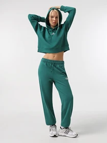 Брюки The North Face Essential модель NF0A8A6KNL11 Фото