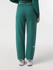 Брюки The North Face Essential модель NF0A8A6KNL11 Фото