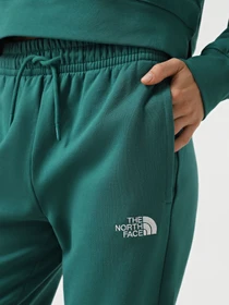 Брюки The North Face Essential модель NF0A8A6KNL11 Фото