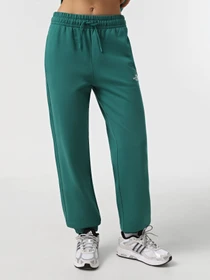 Брюки The North Face Essential модель NF0A8A6KNL11 Фото