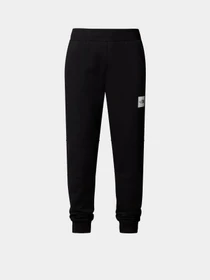 Брюки The North Face Fine модель NF0A8A6NJK31 Фото