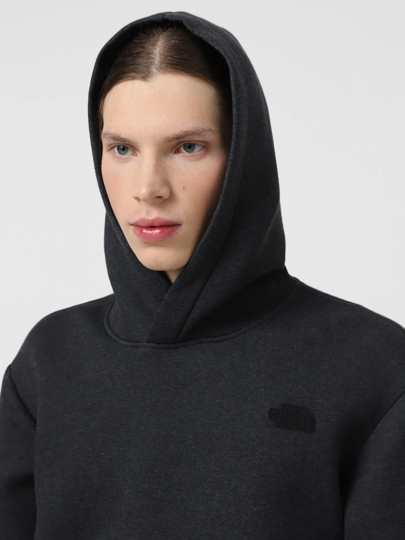 Худи и свитшоты The North Face Pull-On модель NF0A8AMBKS71 Фото
