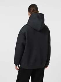 Худи и свитшоты The North Face Pull-On модель NF0A8AMBKS71 Фото