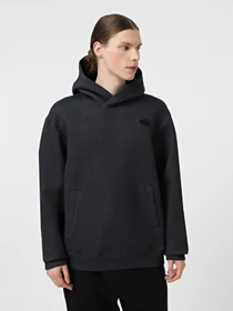 Худи и свитшоты The North Face Pull-On модель NF0A8AMBKS71 Фото