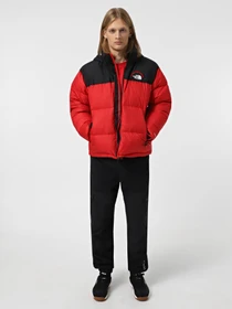 Куртки та дублянки The North Face 1996 Retro Nuptse модель NF0A3C8D7GO1 Фото
